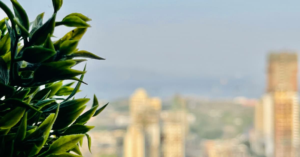 Illinois Faces Persistent Challenges in Expunging Old Marijuana Convictions