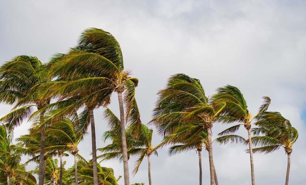 Commercial Real Estate Investors Underwrite Disaster Risk Incorrectly, Expert Warns