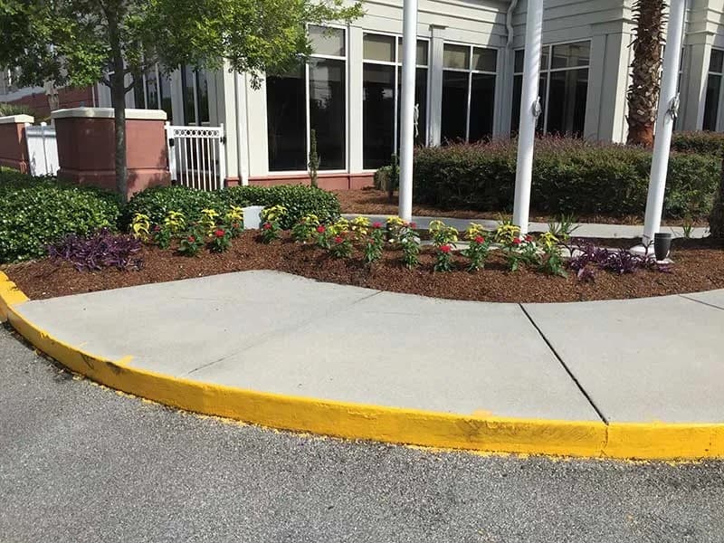 Turf Scouts Celebrates 15 Years of Residential Lawn Care in Savannah and Isle of Hope