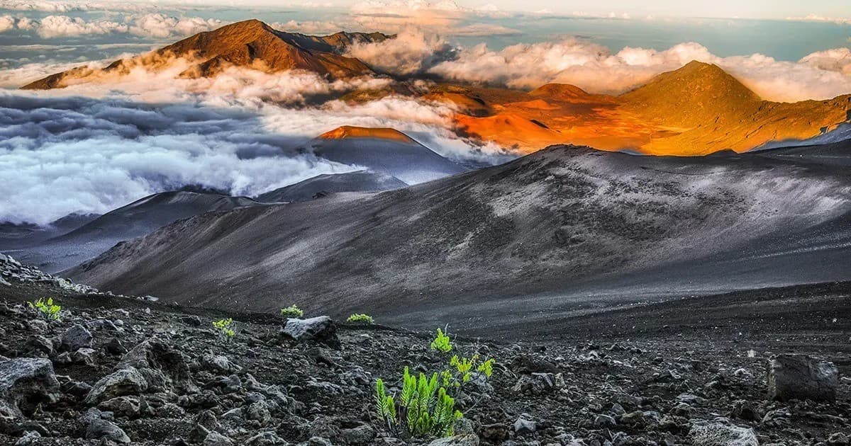 This Week Hawaii Marks 60th Anniversary with Expanded Hybrid Media Initiative and Digital Tracking Tools