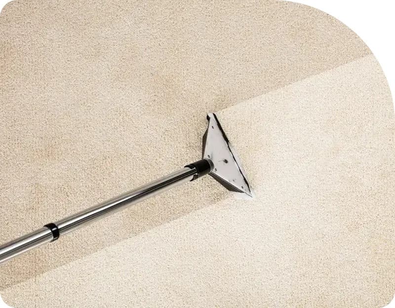 Flood Squad Sets New Standards in Water Damage Restoration with Advanced Technology