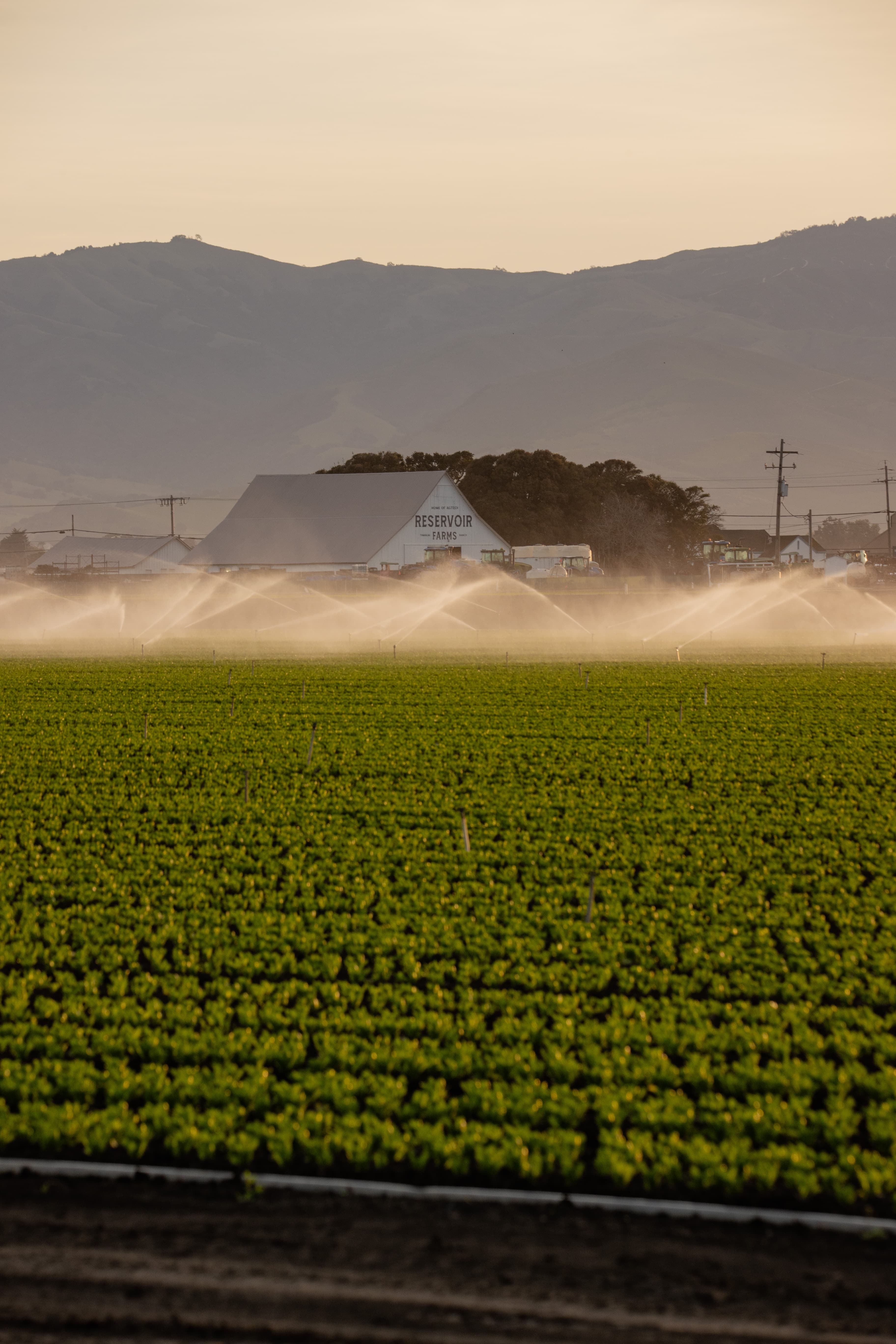 Reservoir Introduces Free Associate Tier to Boost AgTech Innovation