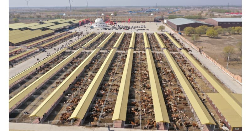 Hinggan League's Agricultural, Cultural and Tourism Consumption Carnival Opens in Beijing