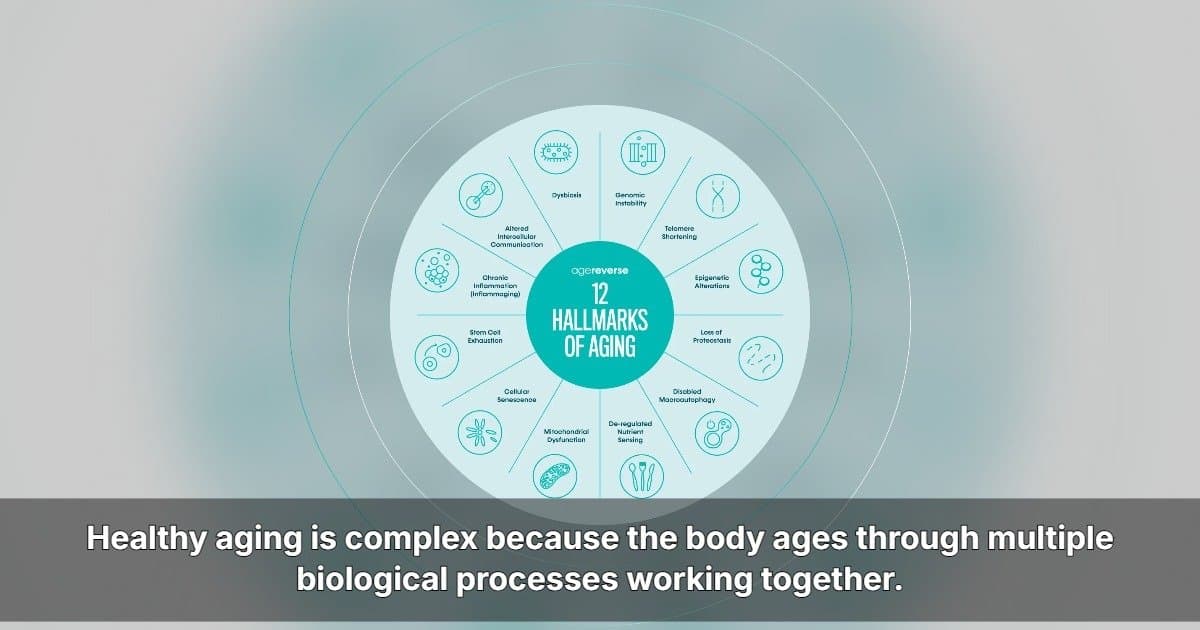 AgeReverse Announces U.S. Expansion, Emphasizing Comprehensive Approach to Healthy Aging