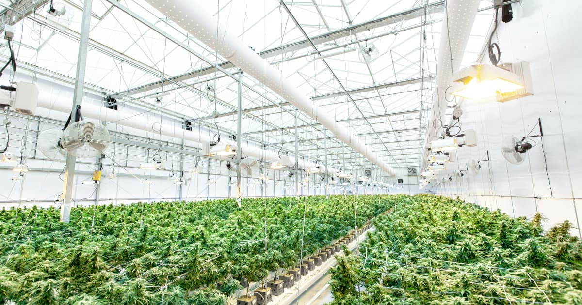 RAW® Rolling Papers Surpasses over 300 Million Organic Views on Meta Platforms in April 2025
