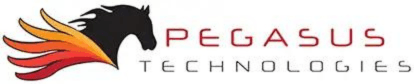 Networking Beyond the Server Room: Pegasus Technologies Joins Quest for the Chamber Cup